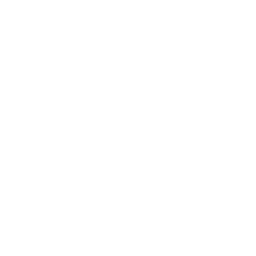 Smartphone Control